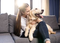 5 tips til at holde dit kæledyr sund og rask