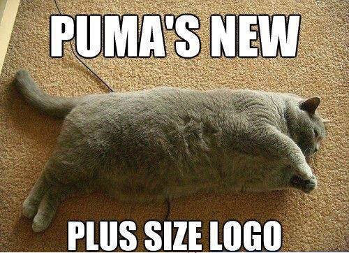 fat-cat-new-puma-logo-photo